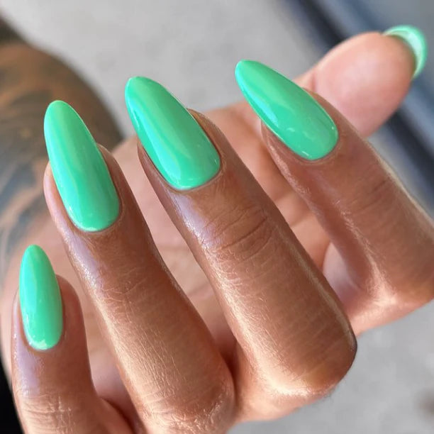 Light Elegance ButterCream - Cactus Bloom - Creata Beauty - Professional Beauty Products