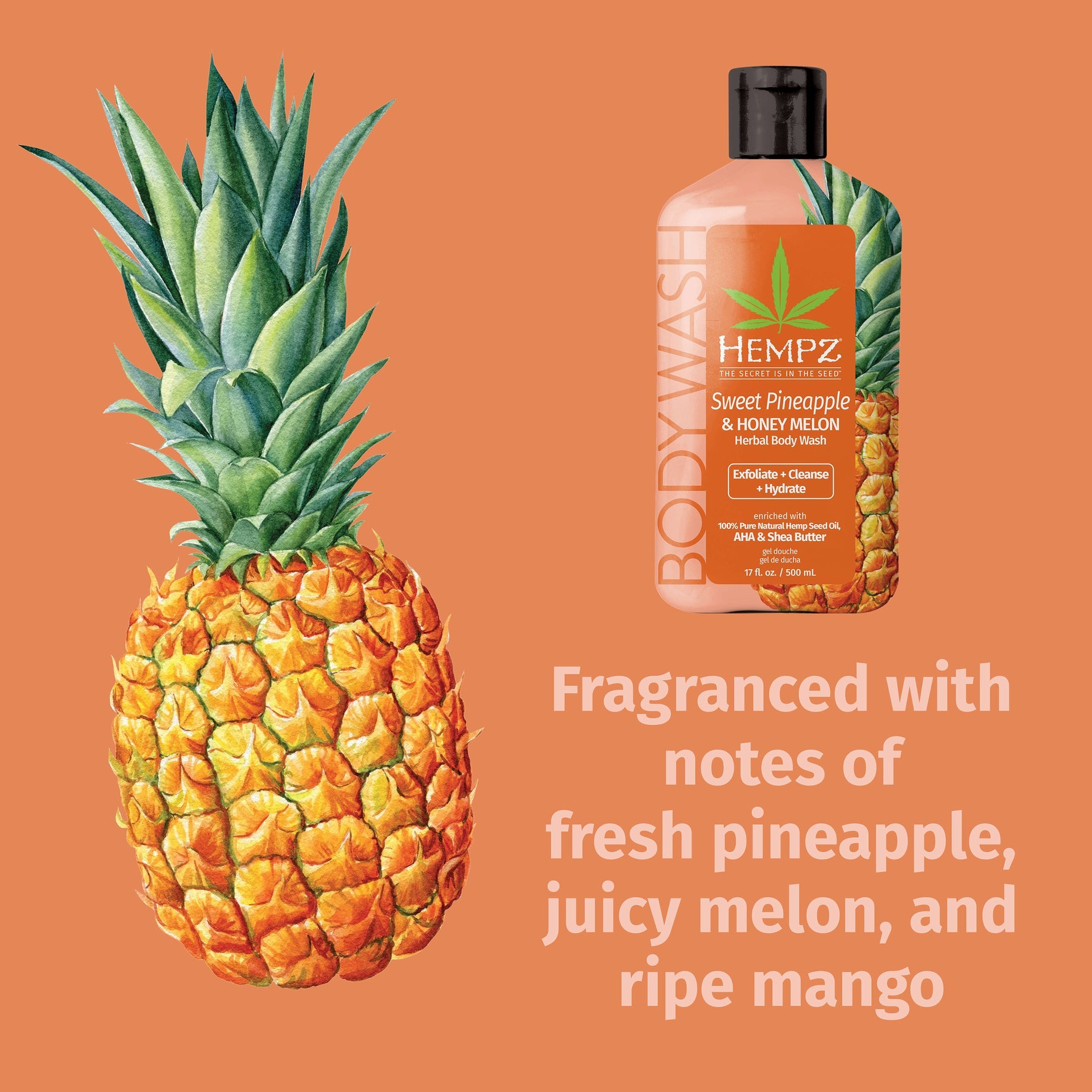 Hempz - Sweet Pineapple & Honey Melon Herbal Body Wash - Creata Beauty - Professional Beauty Products