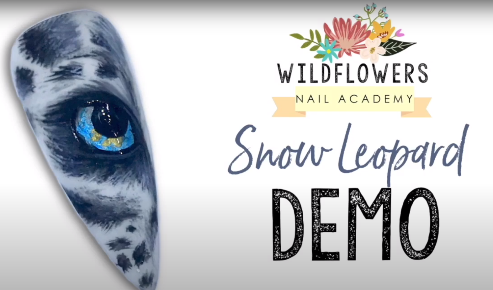 Snow Leopard Demo from WildFlowers