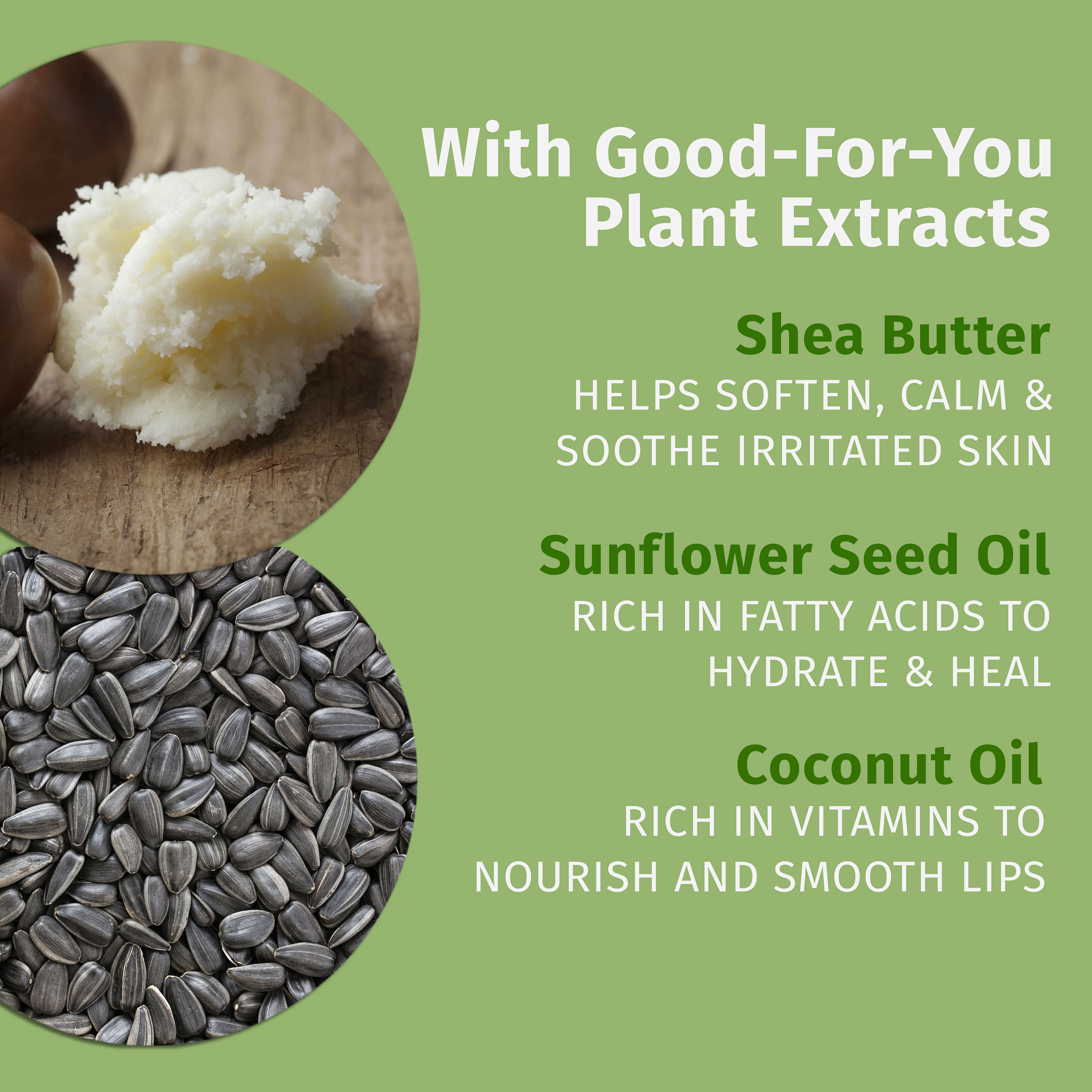 Hempz Whipped Vanilla Lip Balm with coconut and sunflower for dry lips