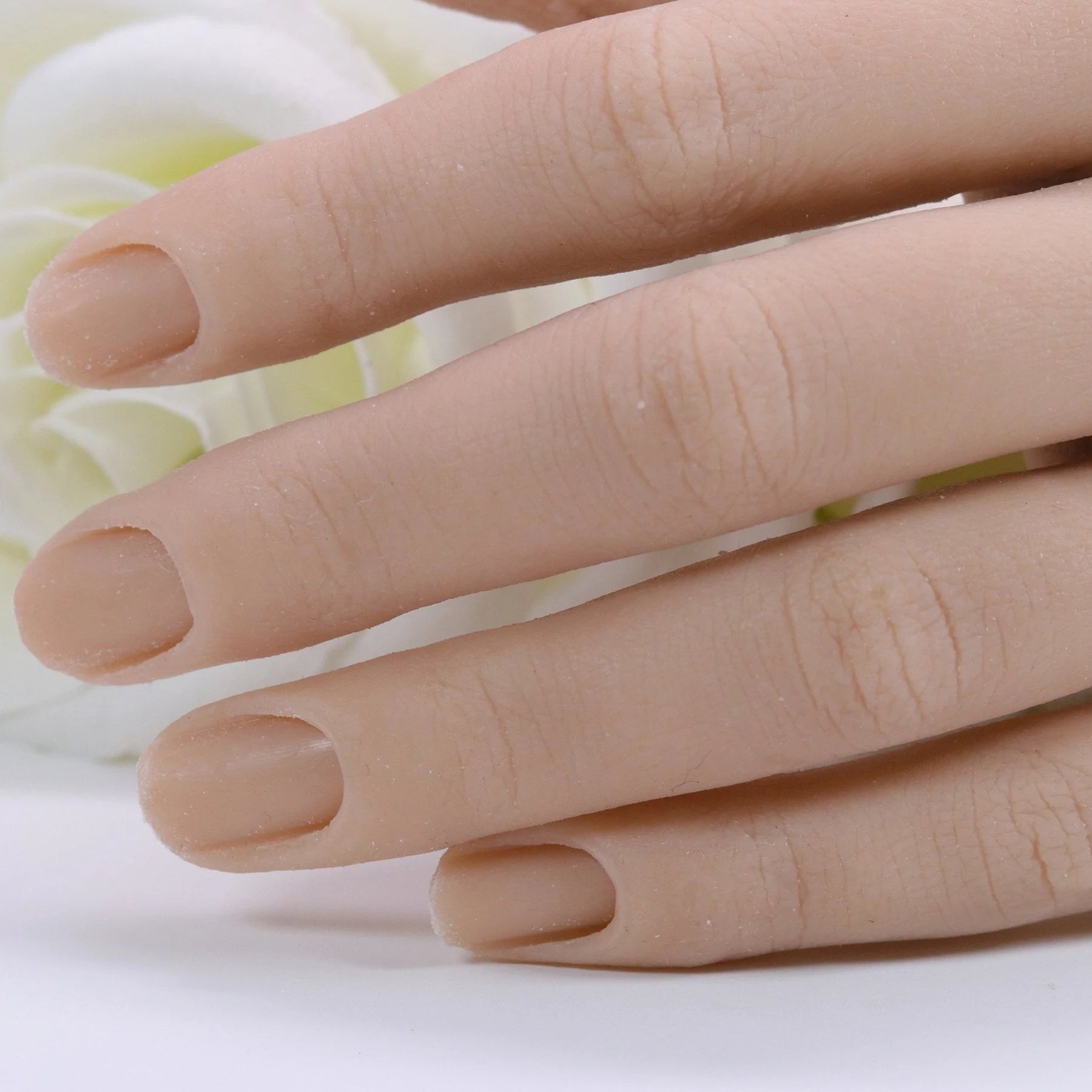 Red Iguana - Silicone Half Practice Hand - Creata Beauty - Professional Beauty Products