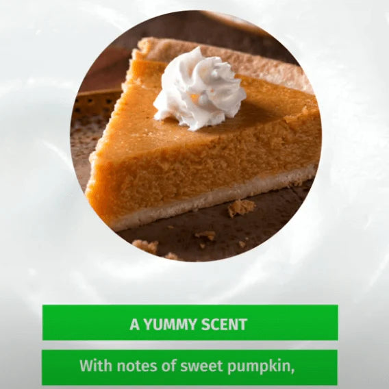 Hempz - Spiced Pumpkin Pie Body Moisturizer