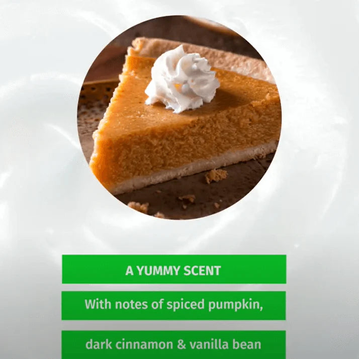 Hempz - Spiced Pumpkin Pie Lip Balm