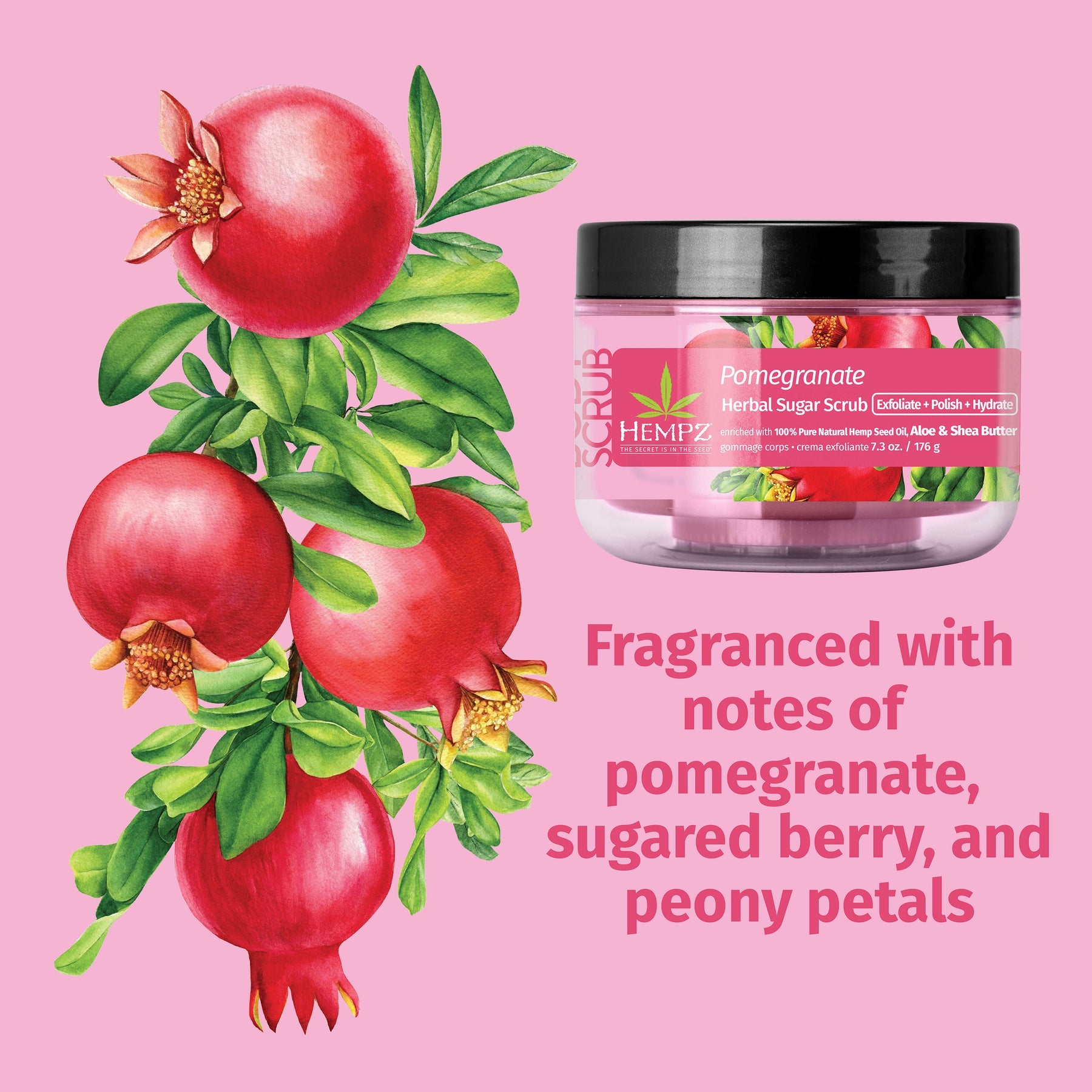 Hempz - Pomegranate Herbal Sugar Scrub - Creata Beauty - Professional Beauty Products