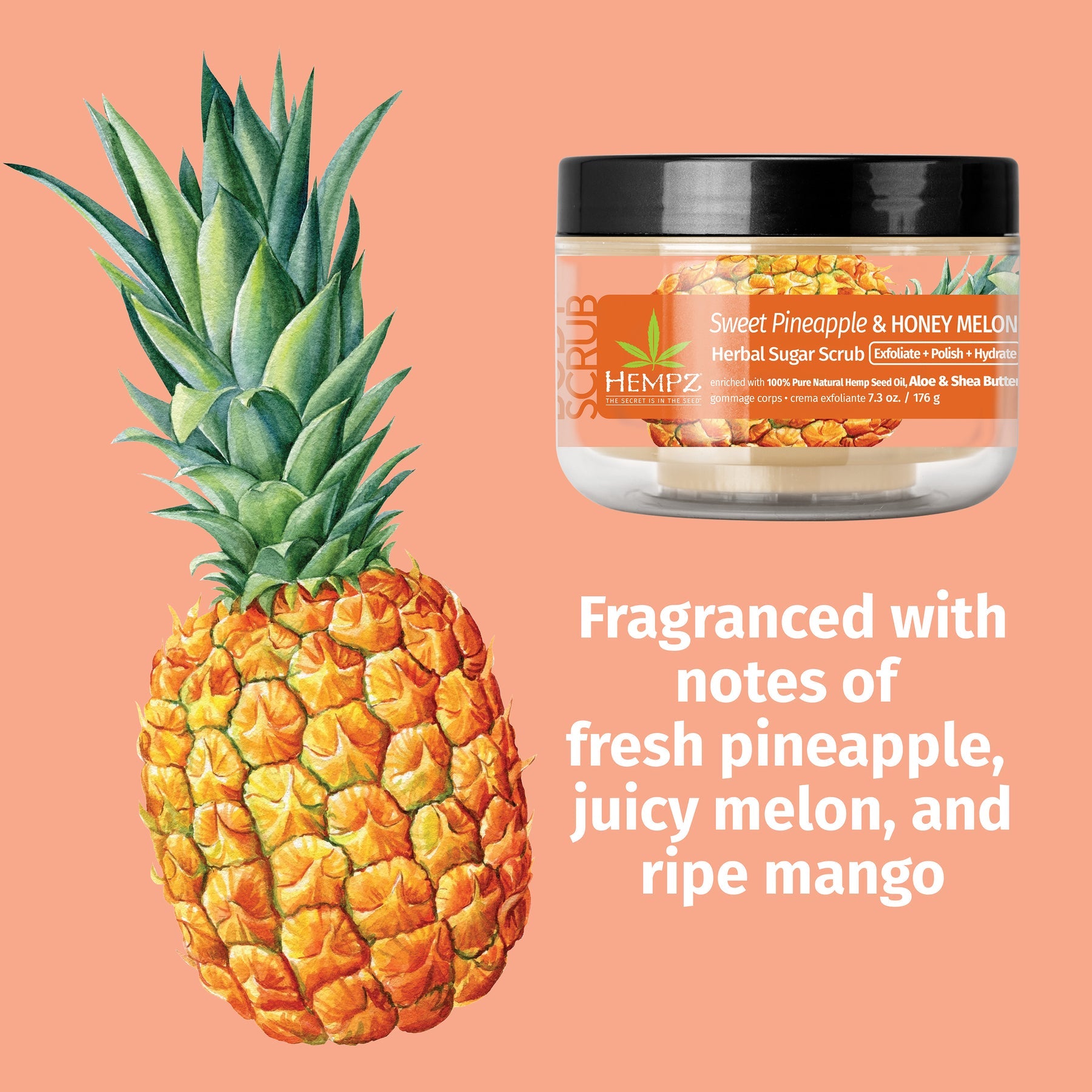 Hempz - Sweet Pineapple & Honey Melon Herbal Sugar Scrub - Creata Beauty - Professional Beauty Products