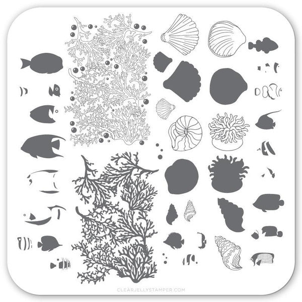 Clear Jelly Stamper Plate Small - Suzie's Underwater Tropical (CjS-LC-49) - Creata Beauty - Professional Beauty Products